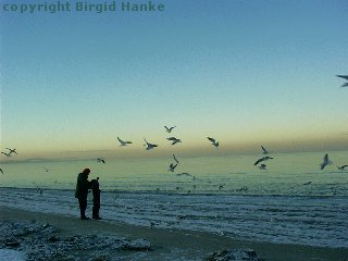 Mare Balticum von Birgid Hanke