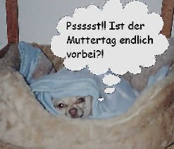Endlich vorbei?